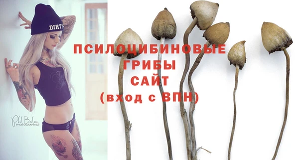 шишки Алексеевка